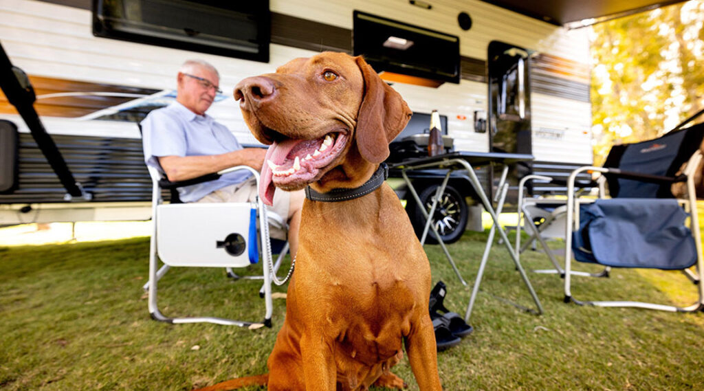 Koondrook Retreat Caravan Park Pet Friendly